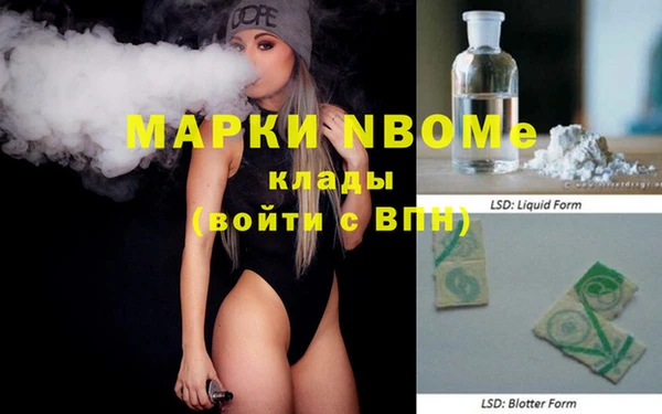 стаф Балахна