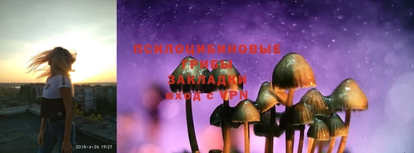 хмурый Балабаново