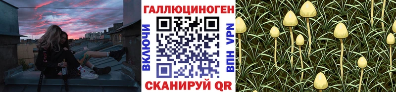Псилоцибиновые грибы Psilocybine cubensis  закладки  Буинск 